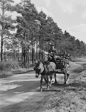 OLD MAN, DONKEY AND CART